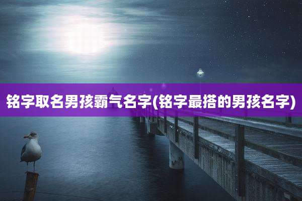 铭字取名男孩霸气名字(铭字最搭的男孩名字)
