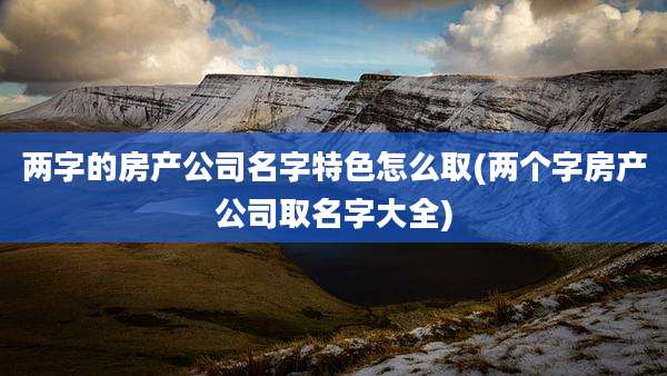 两字的房产公司名字特色怎么取(两个字房产公司取名字大全)