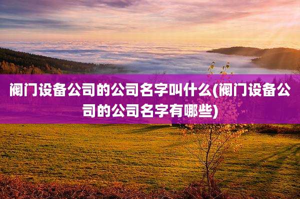 阀门设备公司的公司名字叫什么(阀门设备公司的公司名字有哪些)