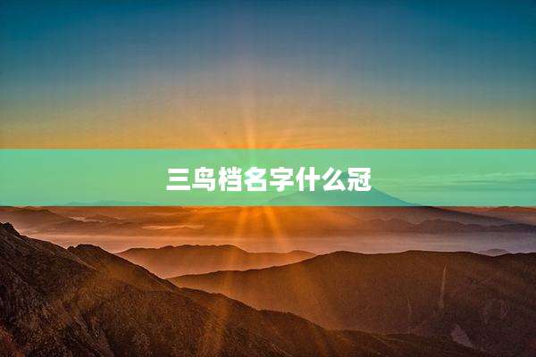 三鸟档名字什么冠