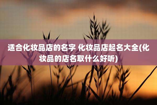 适合化妆品店的名字 化妆品店起名大全(化妆品的店名取什么好听)