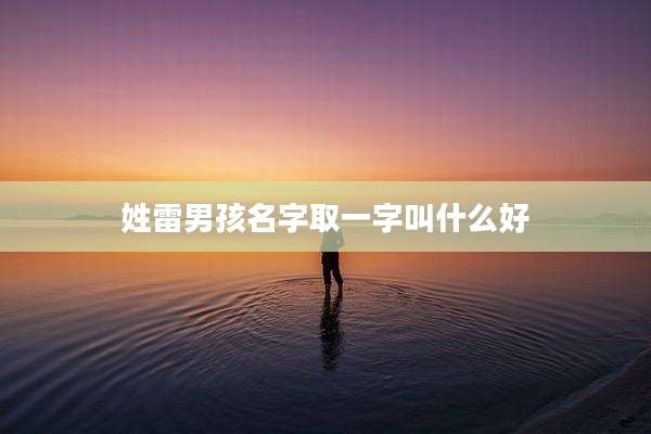 姓雷男孩名字取一字叫什么好