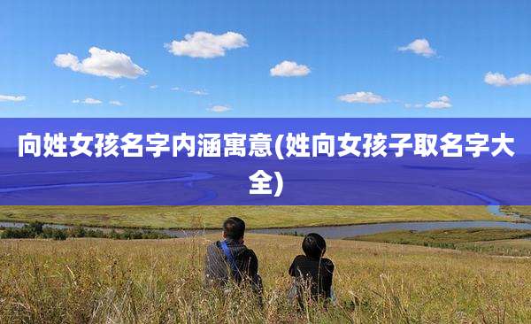 向姓女孩名字内涵寓意(姓向女孩子取名字大全)