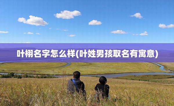 叶栩名字怎么样(叶姓男孩取名有寓意)