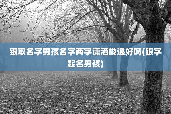 银取名字男孩名字两字潇洒俊逸好吗(银字起名男孩)