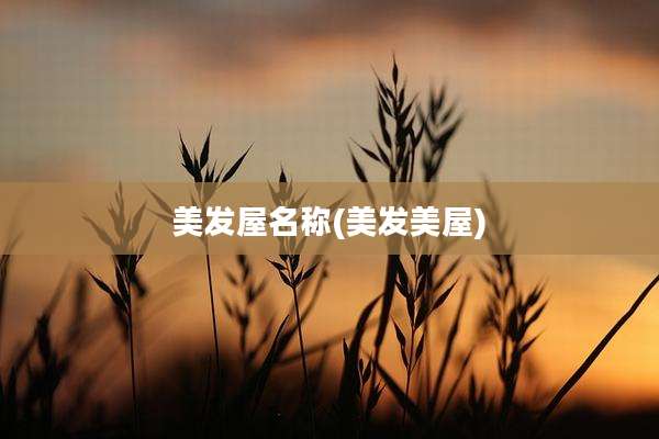 美发屋名称(美发美屋)