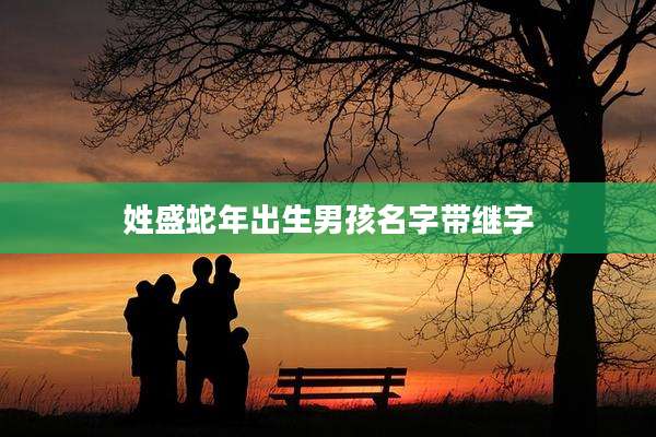 姓盛蛇年出生男孩名字带继字