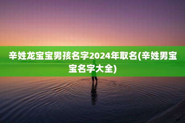 辛姓龙宝宝男孩名字2024年取名(辛姓男宝宝名字大全)