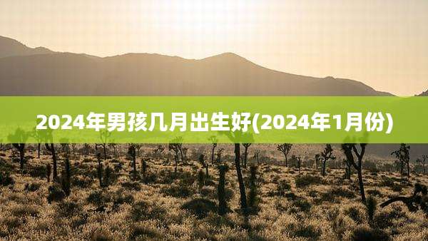2024年男孩几月出生好(2024年1月份)