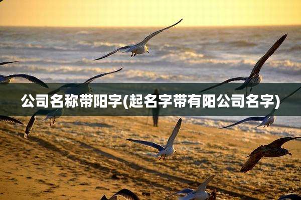 公司名称带阳字(起名字带有阳公司名字)