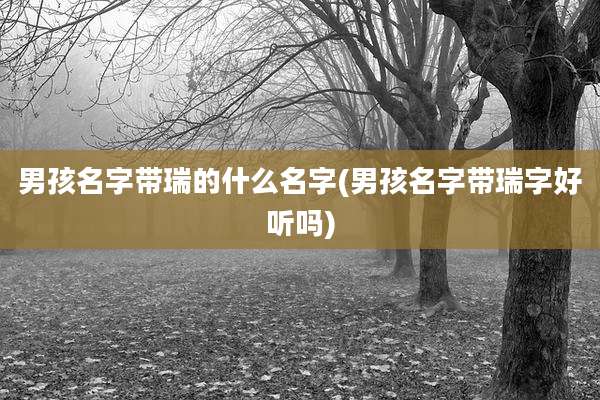 男孩名字带瑞的什么名字(男孩名字带瑞字好听吗)