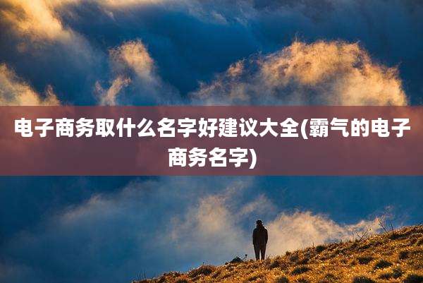 电子商务取什么名字好建议大全(霸气的电子商务名字)