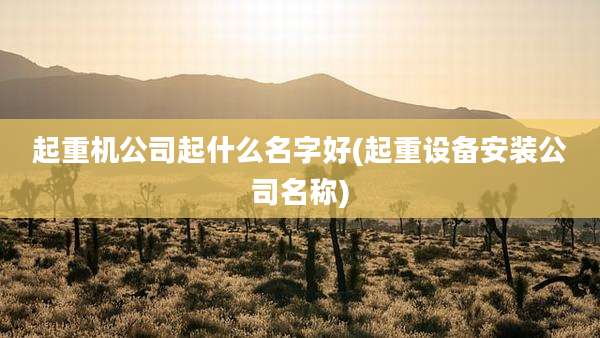 起重机公司起什么名字好(起重设备安装公司名称)