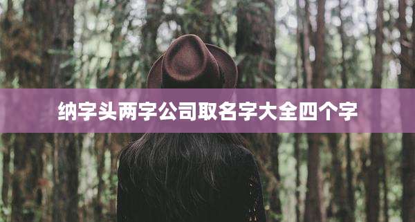 纳字头两字公司取名字大全四个字
