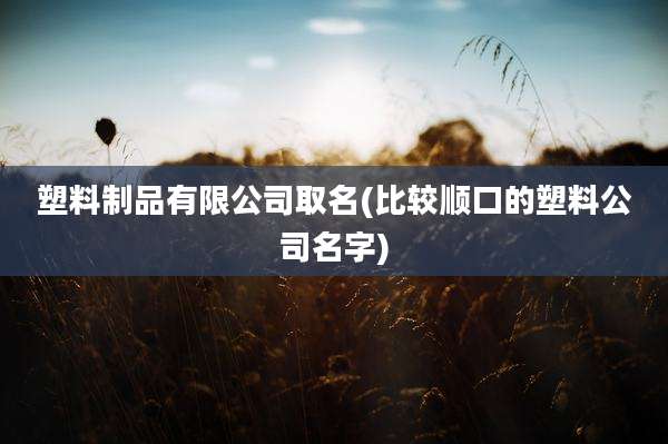 塑料制品有限公司取名(比较顺口的塑料公司名字)
