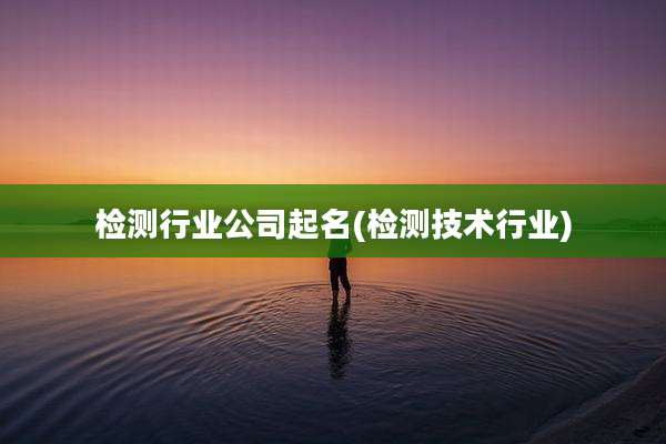 检测行业公司起名(检测技术行业)