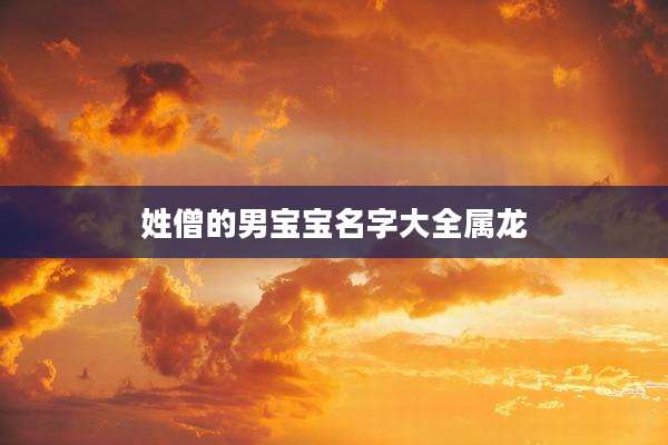 姓僧的男宝宝名字大全属龙