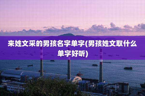 来姓文采的男孩名字单字(男孩姓文取什么单字好听)