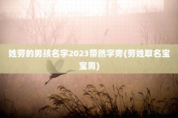 姓劳的男孩名字2023带然字旁(劳姓取名宝宝男)