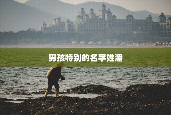 男孩特别的名字姓潘