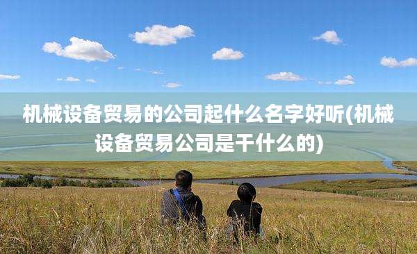 机械设备贸易的公司起什么名字好听(机械设备贸易公司是干什么的)