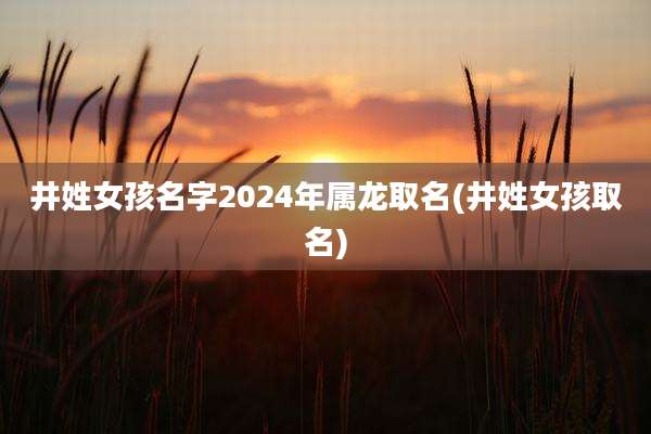 井姓女孩名字2024年属龙取名(井姓女孩取名)