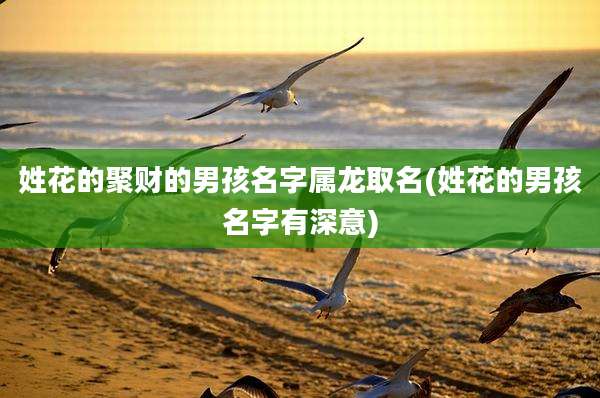 姓花的聚财的男孩名字属龙取名(姓花的男孩名字有深意)