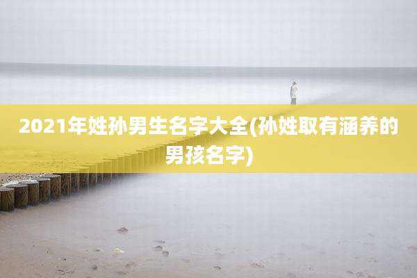 2021年姓孙男生名字大全(孙姓取有涵养的男孩名字)