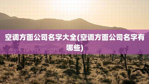 空调方面公司名字大全(空调方面公司名字有哪些)