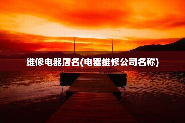 维修电器店名(电器维修公司名称)