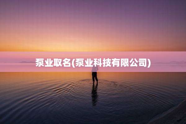 泵业取名(泵业科技有限公司)