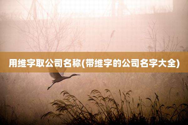 用维字取公司名称(带维字的公司名字大全)