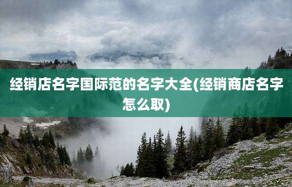 经销店名字国际范的名字大全(经销商店名字怎么取)