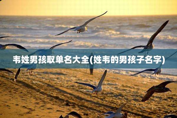 韦姓男孩取单名大全(姓韦的男孩子名字)