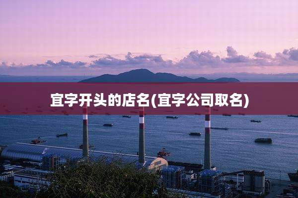宜字开头的店名(宜字公司取名)