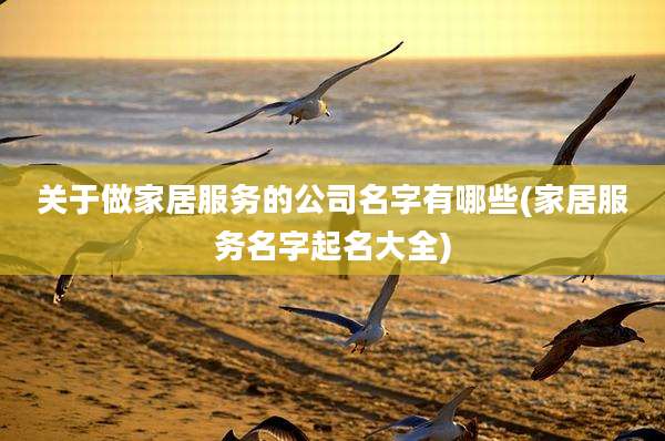 关于做家居服务的公司名字有哪些(家居服务名字起名大全)