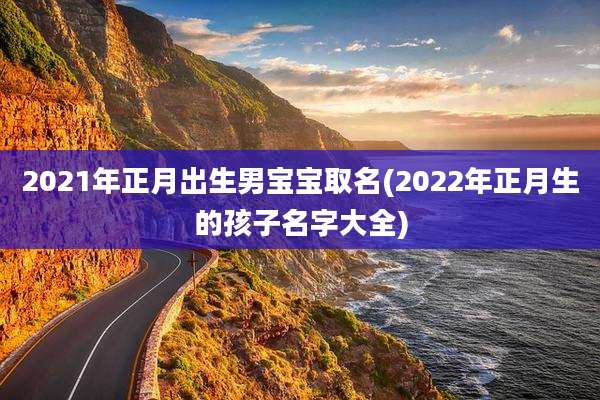 2021年正月出生男宝宝取名(2022年正月生的孩子名字大全)