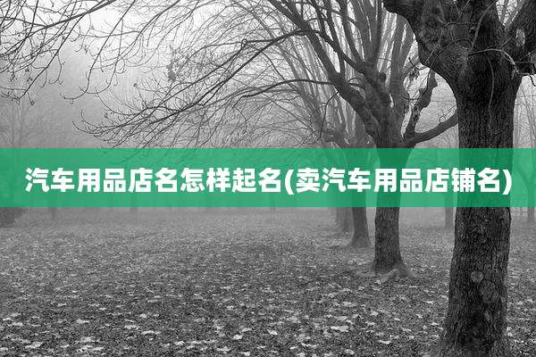 汽车用品店名怎样起名(卖汽车用品店铺名)