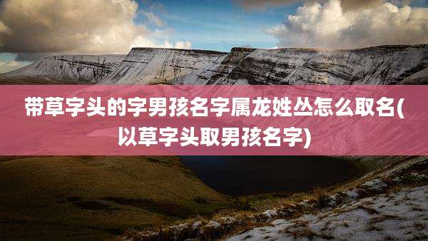 带草字头的字男孩名字属龙姓丛怎么取名(以草字头取男孩名字)