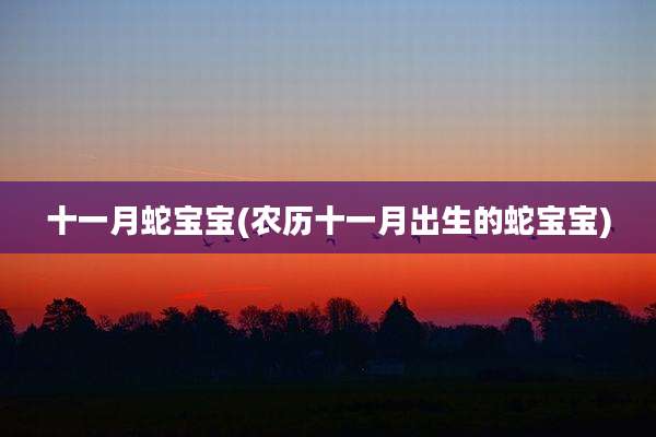十一月蛇宝宝(农历十一月出生的蛇宝宝)