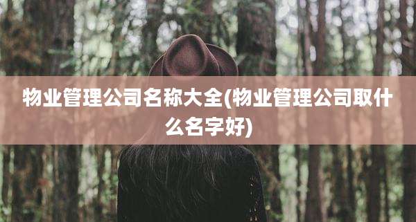 物业管理公司名称大全(物业管理公司取什么名字好)