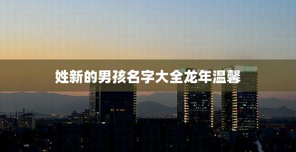 姓新的男孩名字大全龙年温馨