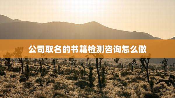 公司取名的书籍检测咨询怎么做