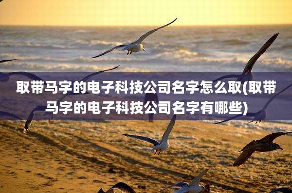 取带马字的电子科技公司名字怎么取(取带马字的电子科技公司名字有哪些)