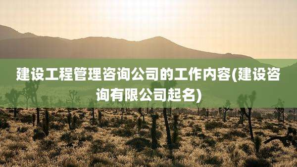 建设工程管理咨询公司的工作内容(建设咨询有限公司起名)