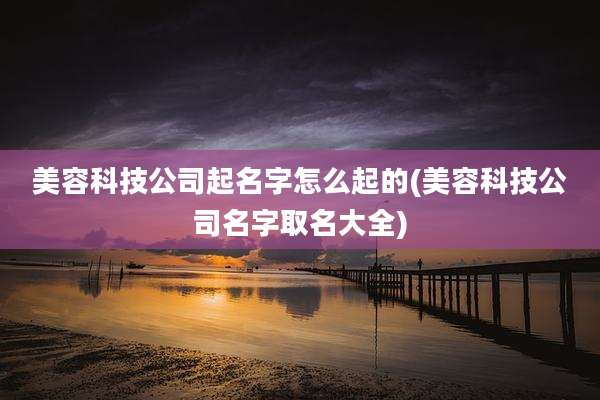 美容科技公司起名字怎么起的(美容科技公司名字取名大全)