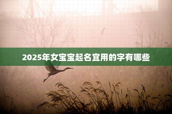 2025年女宝宝起名宜用的字有哪些