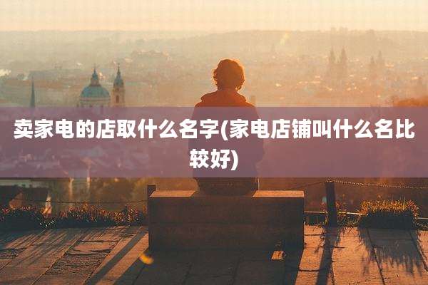 卖家电的店取什么名字(家电店铺叫什么名比较好)