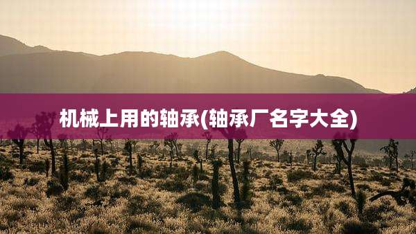 机械上用的轴承(轴承厂名字大全)
