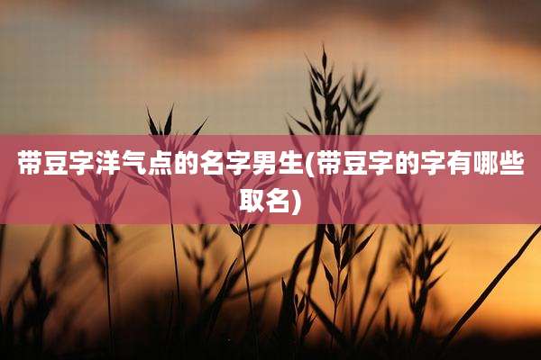 带豆字洋气点的名字男生(带豆字的字有哪些取名)
